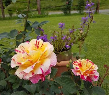 Masero Casa | Agriturismo La Selva