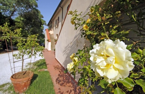 Crespina Apartamento | Agriturismo La Serra - Bellavista