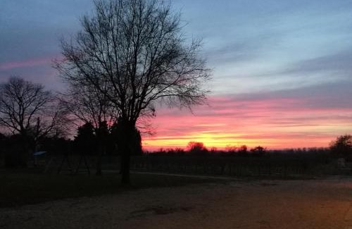 Fogliano Redipuglia Cama Y Desayuno | Agriturismo Le Giarine