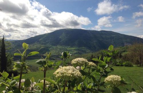 Assisi Casa | Agriturismo Le Sorgenti