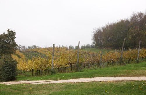 Arcugnano Casa | Agriturismo Marani