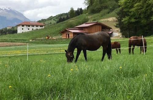 Lomaso Casa | AGRITURISMO MASO PERTENER -adults friendly-