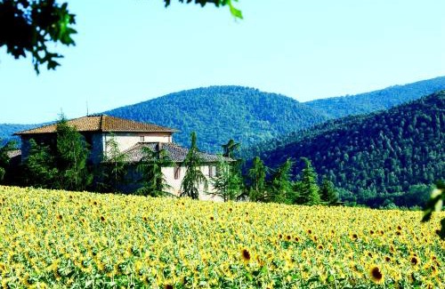 Sovicille Apartamento | Agriturismo Montioni