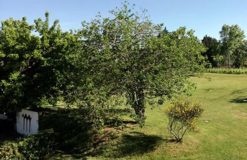 Oriolo dei Fichi Casa | Agriturismo Morattina
