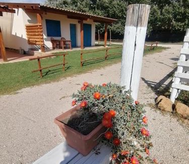 Ardea Casa | agriturismo oca giuliva