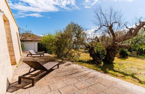 Casarano Casa | Agriturismo Oliveto Politi