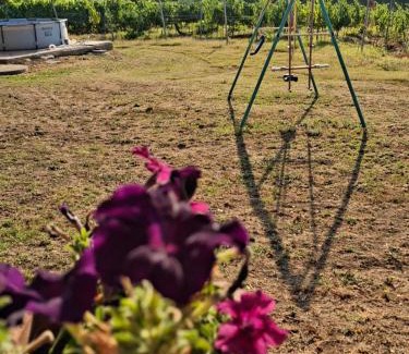 Magliano in Toscana Apartamento | Agriturismo podere 329