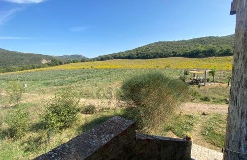 Castiglione d'Orcia Casa | Agriturismo Pian Di Meta Vecchia