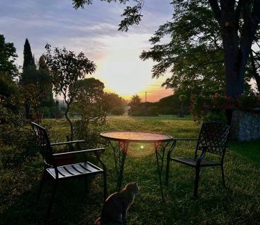 Amelia Casa | Agriturismo Podere Luchiano