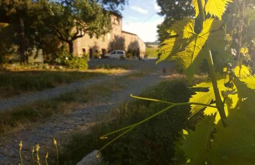 Molino Mazzetti Casa | Agriturismo Podere Molino