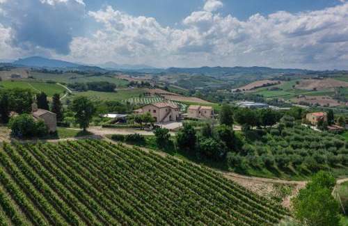 Offida Casa | Agriturismo San Nicolino
