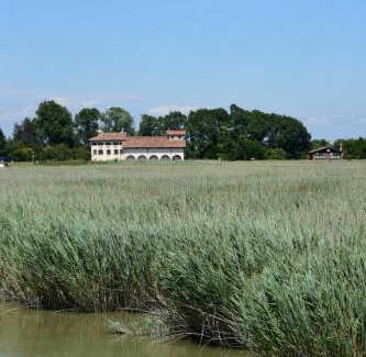 Ca'Noghera Chalet De Esquí | Agriturismo Venice Photobirding