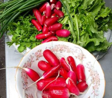 Tsalka Casa | Agro House Mezge - აგროსახლი მეზგე