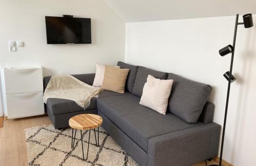 Central Serbia Apartamento | Agro Lux Apartment - Milenović