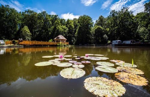 Gryfow Slaski Casa | Agromurena