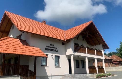 Copalnic-Manastur Casa | Agropensiunea Duminora
