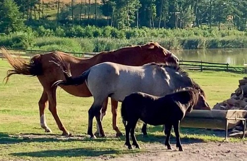 Małe Lezno Casa | Agrotourist Maryska Małe Leźno