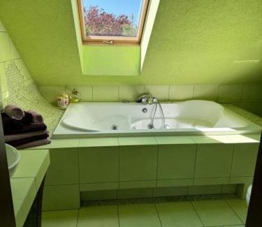 Jezow Sudecki Apartamento | Agroturystyka Alpakolandia Góra Szybowcowa