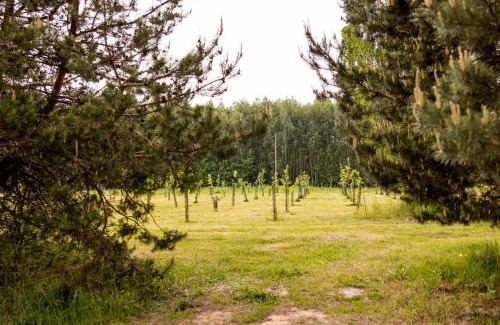 Rakow Casa | Agroturystyka Głuchowskie Specjały