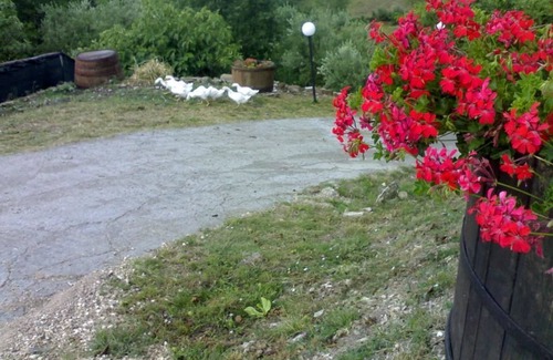 Casalbore Cama Y Desayuno | Aia di Lazzaro Country House