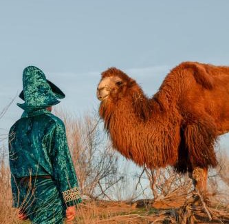 Koshkuduk Otro | Aidar Yurt Camp