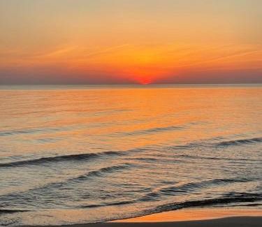 Palanga Casa | Aido takas 4 Holiday Home