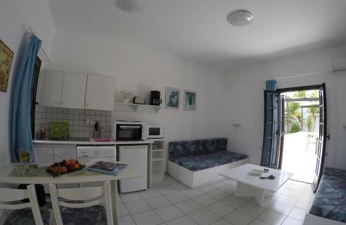 Kokkini Chani Apartamento | Aigialis Apartments & Studios
