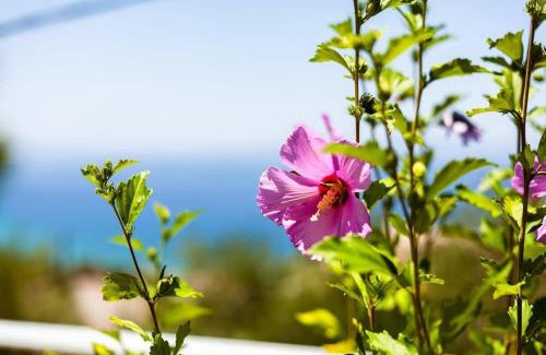 Diasella Casa | Aigli Summer Getaway - Seaview Lux Retreat