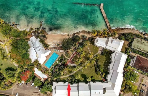 Pointe de la verdure Apartamento | "Aimé Gwada", appartement à 40m de la plage, Rez-de-jardin tropical