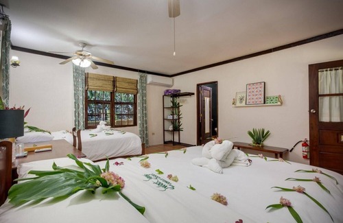 Negroman Complejo | Air-Conditioned Premium Room w/ Private Bathroom & Porch - Near Treehouse Bar
