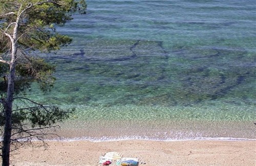 Le Pradet Apartamento | Air-conditioned studio near Les Bonnettes & Monaco beaches