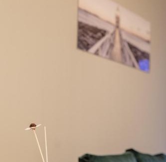 Surcin Hotel | AirMi hotel