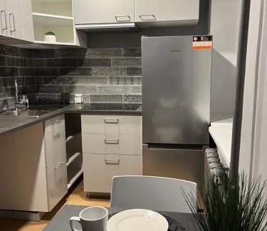 Zemgale Apartamento | Aizkraukle Penthouse apartment