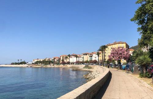 Ajaccio Apartamento | Ajaccio : appartement centre historique
