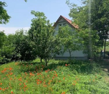 Zamardi Casa | Akácliget Vendégház