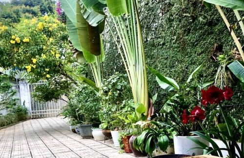 Cao Bang Apartamento | AK Homestay - Cao Bang City