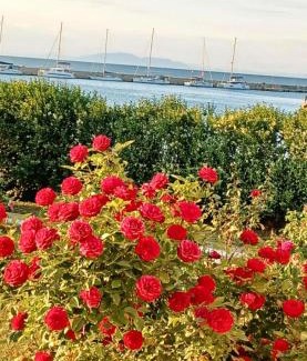Kamariotissa Apartamento | Aktaion Apartments