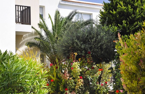 Chlorakas Apartamento | Akti Beach Village Resort