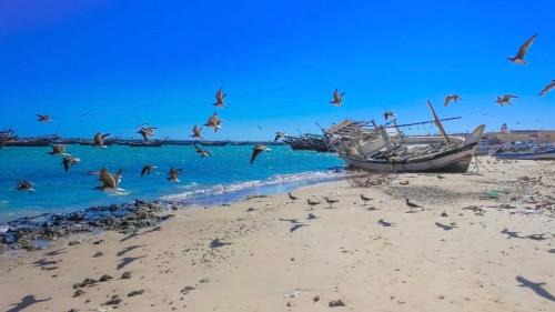 Al Ashkharah Casa | Al Ashkhara Beach House