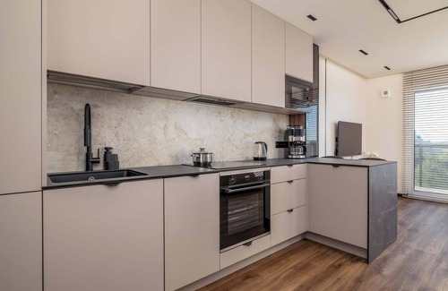 Tychy Apartamento | Al. Bielska 129 Tychy | Air Conditioned Studio with Parking and Mountain View