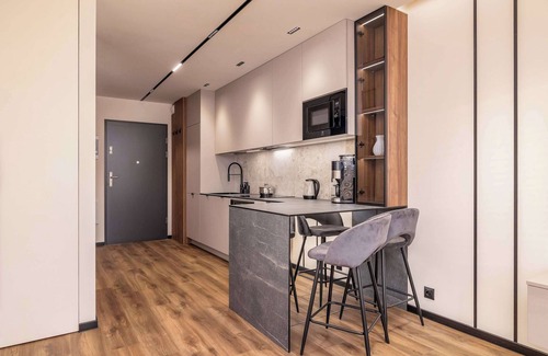 Tychy Apartamento | Al. Bielska 129 Tychy | Air Conditioned Studio with Parking and Mountain View