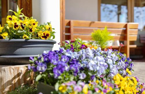 Mareo Apartamento | Al Cargá San Vigilio di Marebbe
