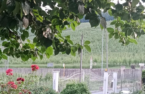 Barolo Casa | AL CIVICO 20 L'impero Del Sole!