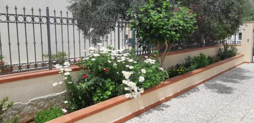 Castelluzzo Casa | Al Civico 365