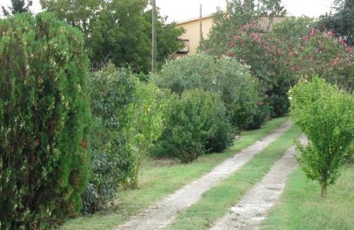 Viterbo Apartamento | AL MANDORLO Casa Vacanze
