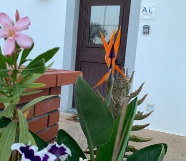 Mertola Apartamento | AL Ribeirinho