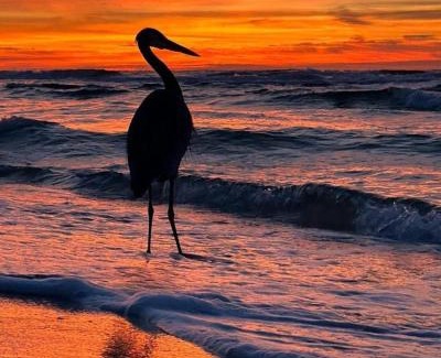 Fort Morgan Casa | Alabama Sunrise