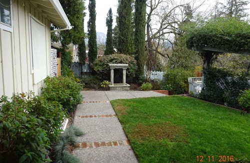 Alamo Cabaña | Alamo Guesthouse Private and Secluded. Country living next to the city life.
