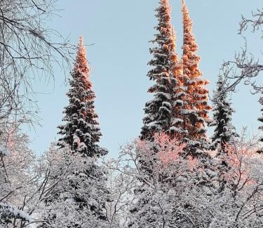 Kontiolahti Casa | Alapihan Arboretumin vierasmaja ja sauna