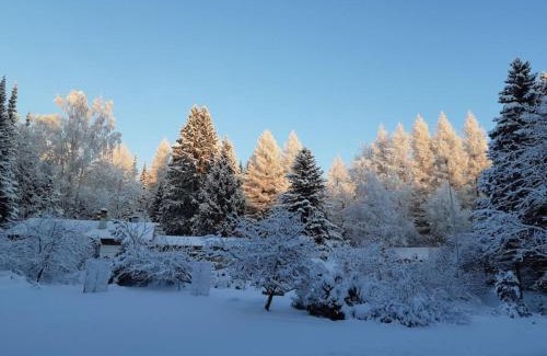 Kontiolahti Casa | Alapihan Arboretumin vierasmaja ja sauna